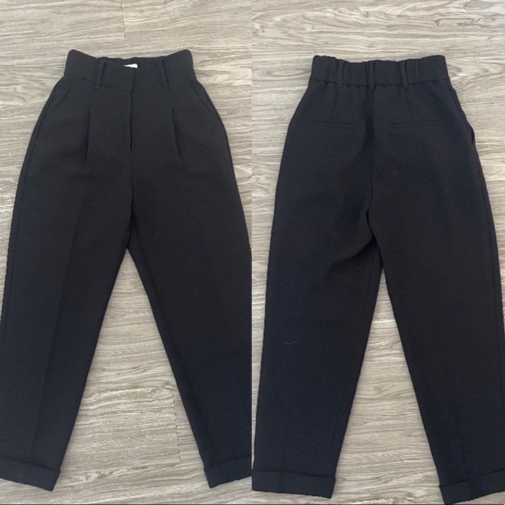 Aritzia Dashwood Pant 00